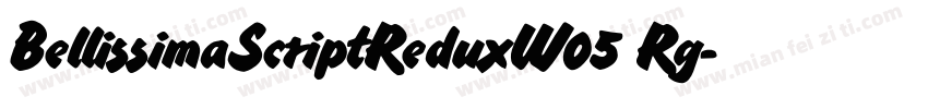 BellissimaScriptReduxW05 Rg字体转换